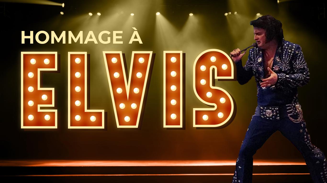 Hommage Elvis copie